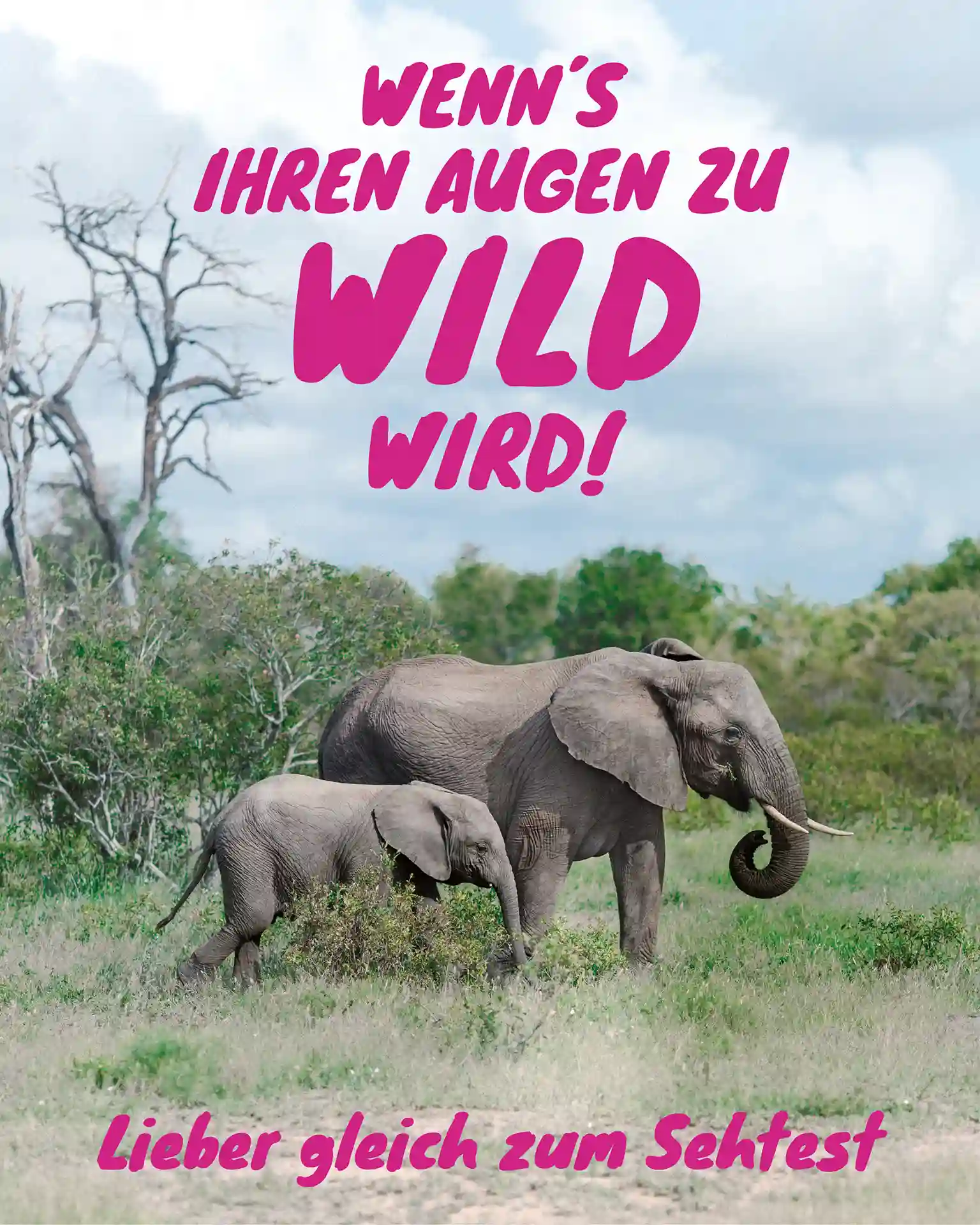 Babyelefant und großer Elefant in einer Safari Landschaft